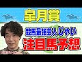 【競馬】皐月賞でのじゃいの予想【勝ち馬予想】