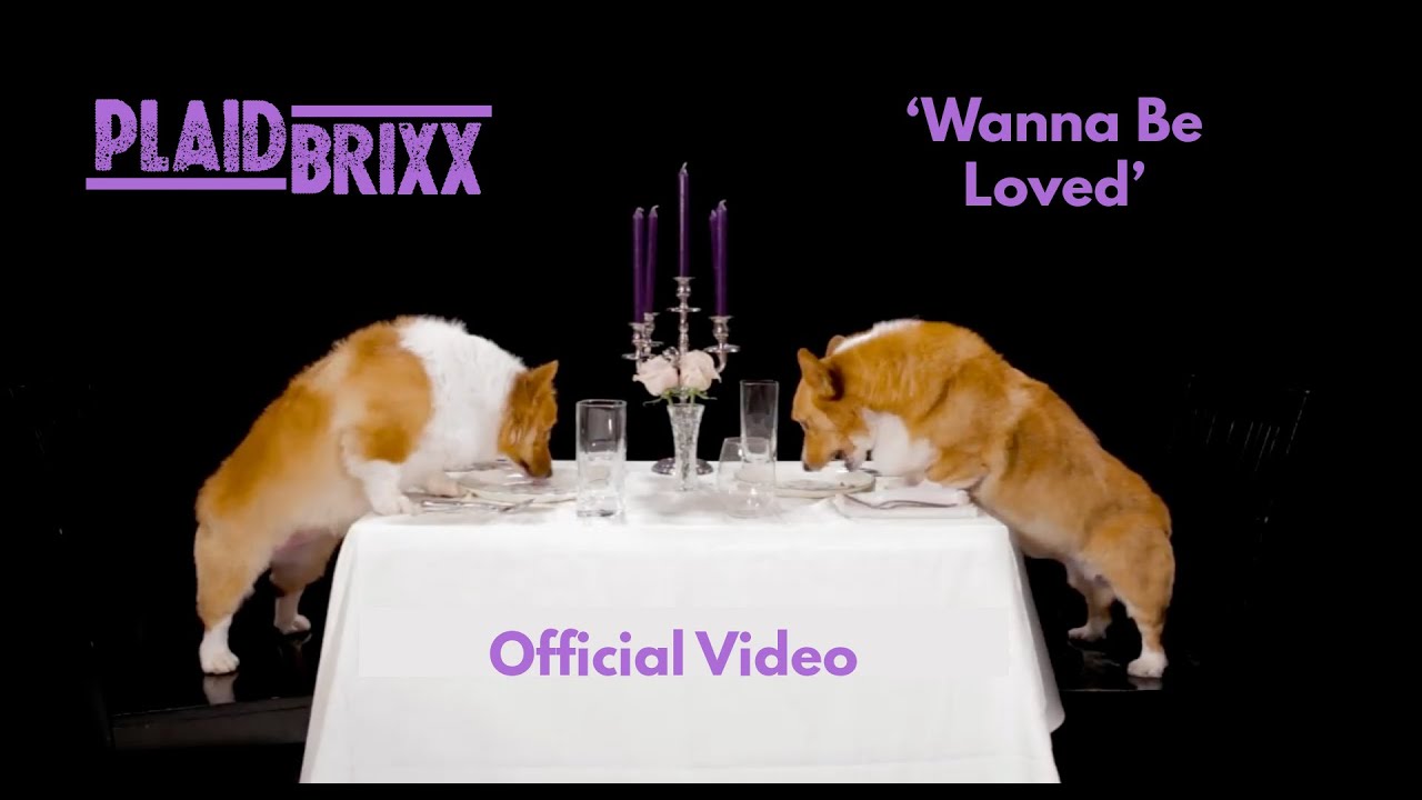 plaid brixx - wanna be loved [official video]
