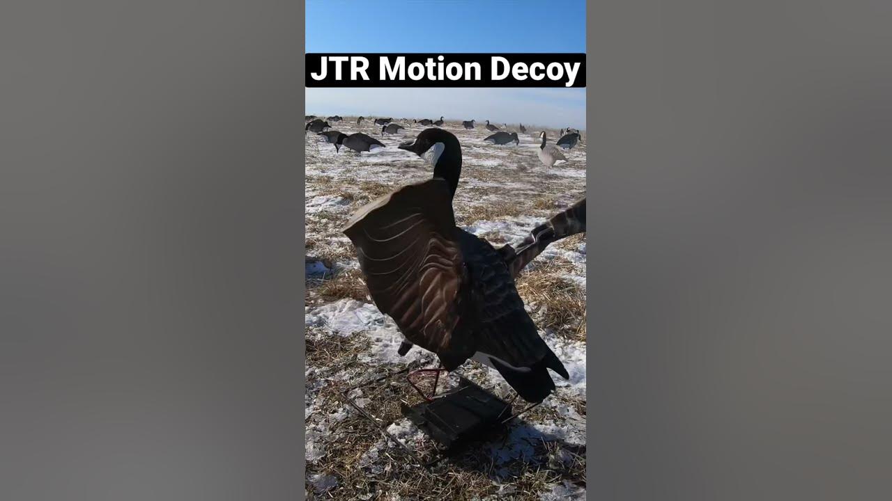 JTR Motion Decoy “XFlapper” Goose Hunting shorts YouTube
