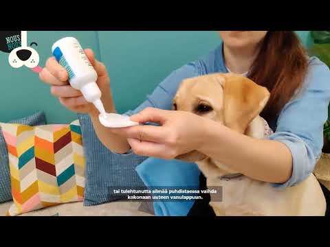 Video: Kuinka kattaa naaraspuolinen koiranruskea haju