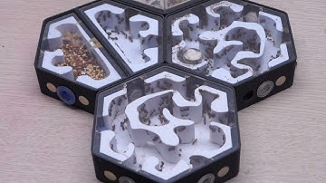 Ant Interchange: Cloverleaf Exit vs Diamond Exit 🛣️