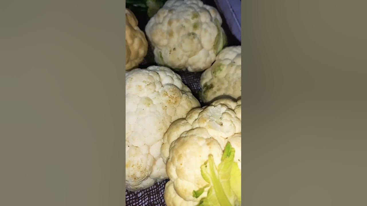 Kuchh Hari Sabjiyan Kacche YouTube kuchh-hari-sabjiyan-kacche-youtube