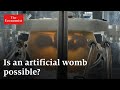 Are artificial wombs the future?