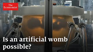 Are artificial wombs the future? by The Economist 172,349 views 6 months ago 7 minutes, 1 second