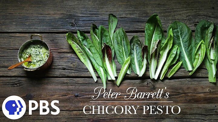 Peter Barrett's Chicory Pesto | PBS Food