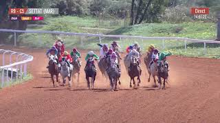 Live Hippodrome « SETTAT » | Courses du 28.02.2024