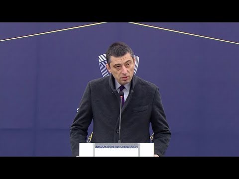 დღეიდან თბილისში მართლწესრიგის ოფიცრებმა დაიწყეს მუშაობა