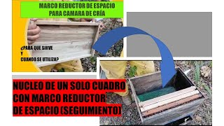 ASI VA EL NÚCLEO DE UN SOLO MARCO CON CUADRO REDUCTOR DE ESPACIO (2° PARTE) AGROINDUSTRIA LA MIEL