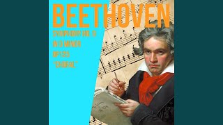 Symphony No. 9 In D Minor, OP. 125, "Choral" / 2. Molto Vivace / Beethoven