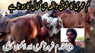 Vacha farming in Pakistan | How to start Vacha farming -  Wacha Farm shuru karain or lakhon kamain