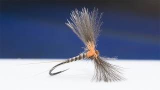 Tying the Hi-Vis CDC Spent Dun – Easy to See, Deadly on the Water