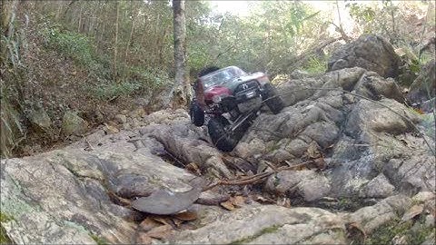 Axial SCX10 Honcho - Trail Run