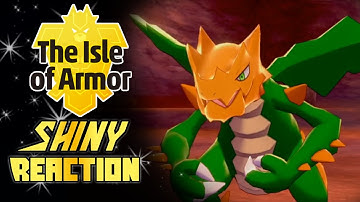 Dashing Dragon! - 2,968 Resets for Shiny Druddigon Strong Spawn!  [Isle of Armor Shiny Reaction]