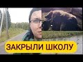 VLOG / ШКОЛУ ЗАКРЫЛИ / МЕДВЕДЯ ПОЙМАЛИ