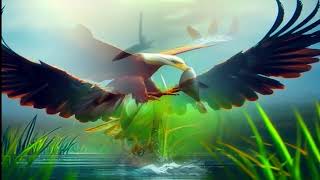 Amazing Eagle Pictures In 4K Ii Picsgarden Ii Colorful Pics Collection