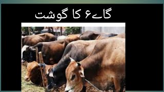 گا۶ےکا گوشت اور اس کے استعمالات