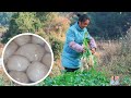 冬至吃水餃，客家人的“薯粉水餃”配料做法都在這👏Use sweet potato flour and taro to make dumplings for winter solstice 【乡野莲姐】