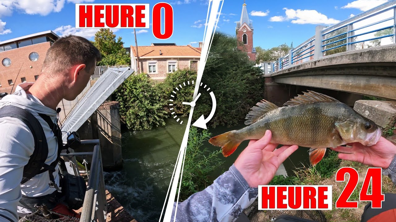 24h pour faire le MAXIMUM de POISSONS au coeur de cette VILLE