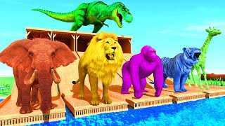 Paint and Animals Gorilla, Elephant, Lion, Tiger, Dinosaur | Fountain Crossing | Cartoon Animal