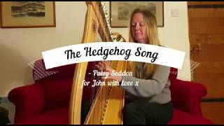 Thehedgehog Song