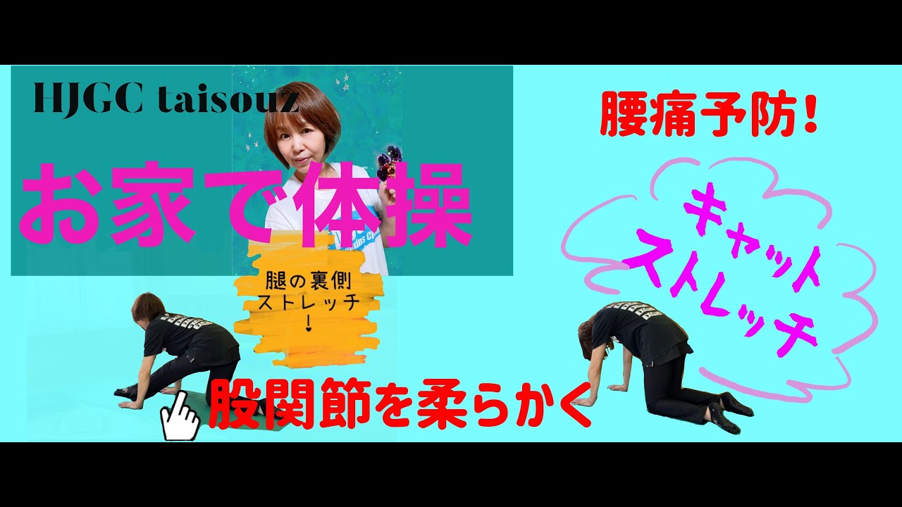 羽生ジュニア体操クラブ 先生のお家で体操 股関節と腰 背骨を柔らかく使おう Youtube