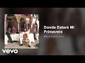 Marco Antonio Solís - Donde Estará Mi Primavera (Audio)