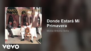 Marco Antonio Solís - Donde Estará Mi Primavera (Audio)