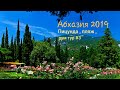 Абхазия 2019. Пицунда/ Пляж/ Рум тур #3