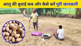 When and how to cultivate potatoes, complete information 🥔 aalu ki kheti kab aur kaise karen | Fa... When and how to cultivate potatoes, complete information 🥔 aalu ki kheti kab aur kaise karen | Fa...