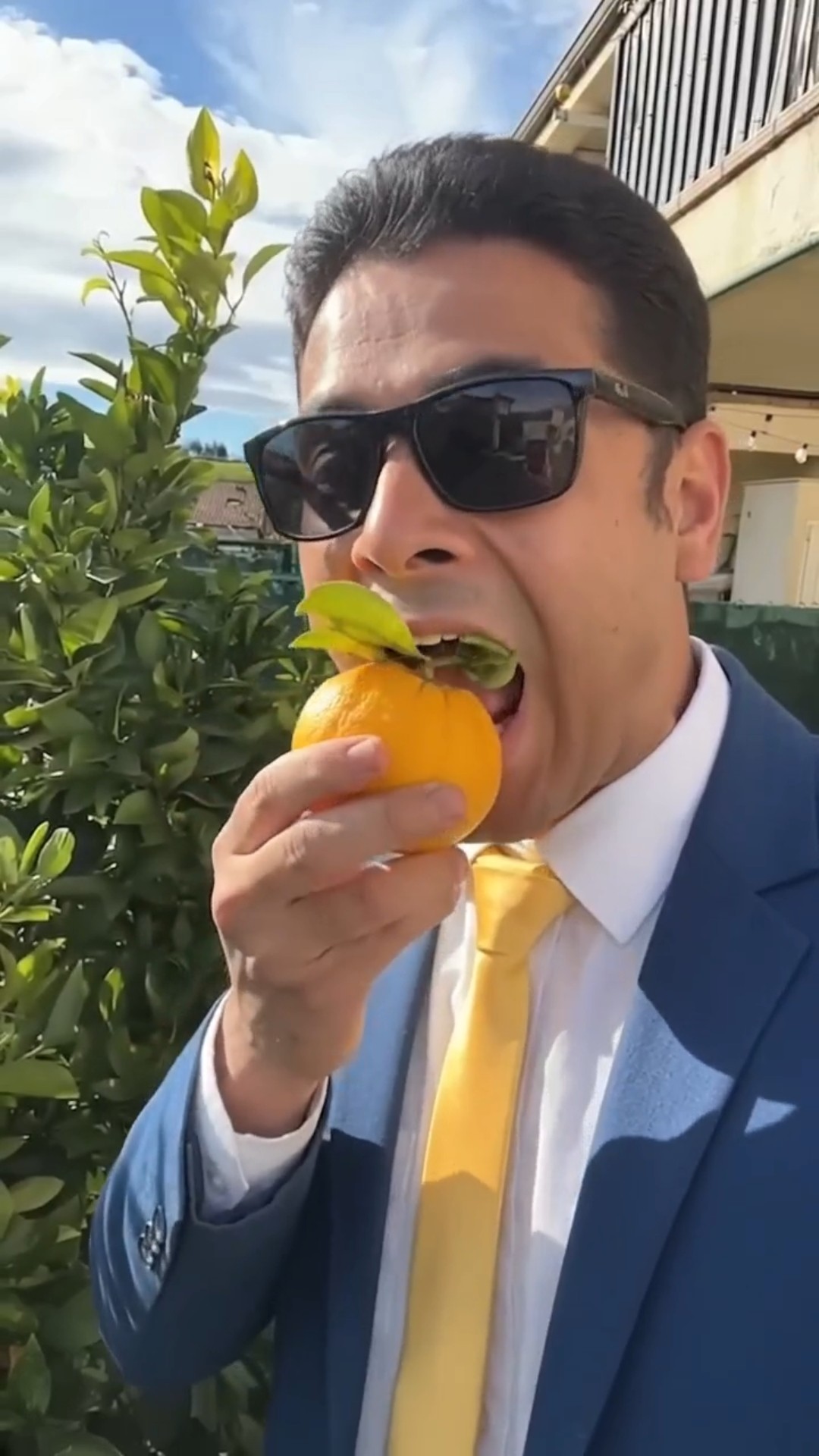 Want to try my oranges?🍊✨ - YouTube