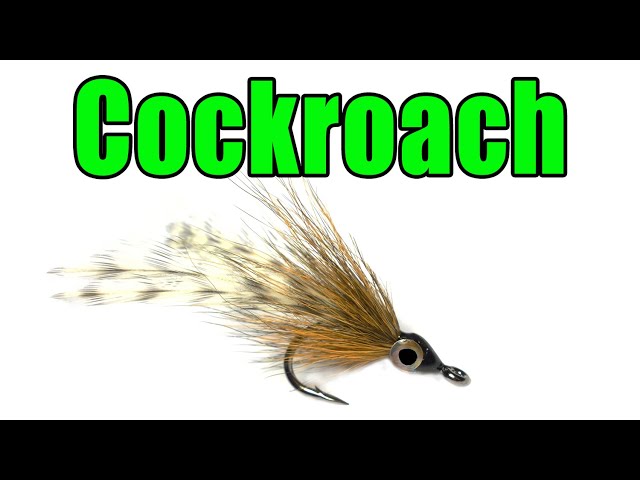 Tarpon Cockroach Fly Tying 