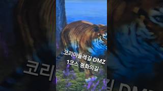DMZ1코스강화