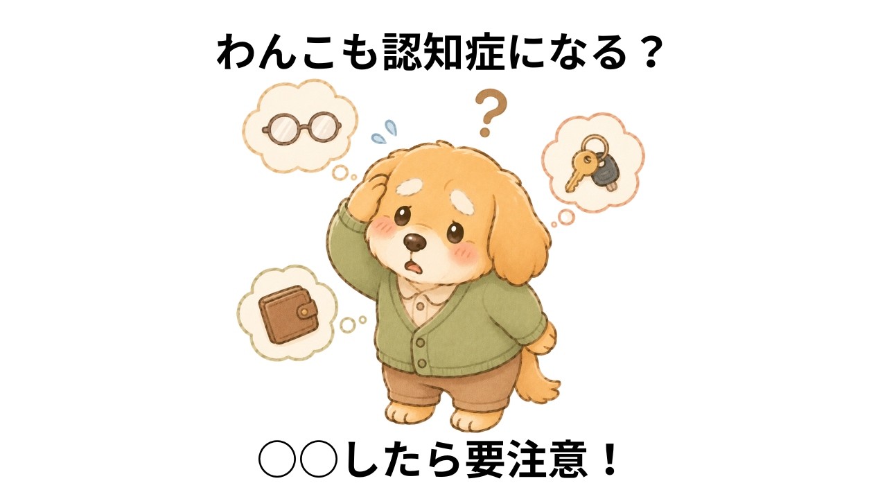 わんこも認知症になる？○○したら要注意！#犬の雑学