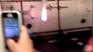 awesome twizzler burning 1
