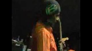 palapa (denis arista)