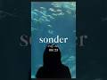 SONDER 8/25 @samuelnaron @chaddycx ft. amie chan #newmusic #musicteaser