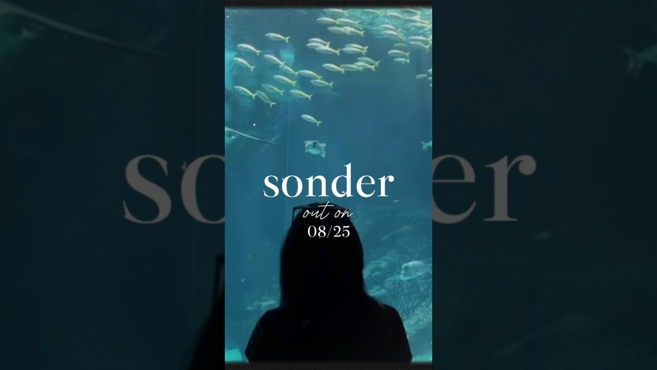 SONDER 8/25 @samuelnaron @chaddycx ft. amie chan #newmusic #musicteaser