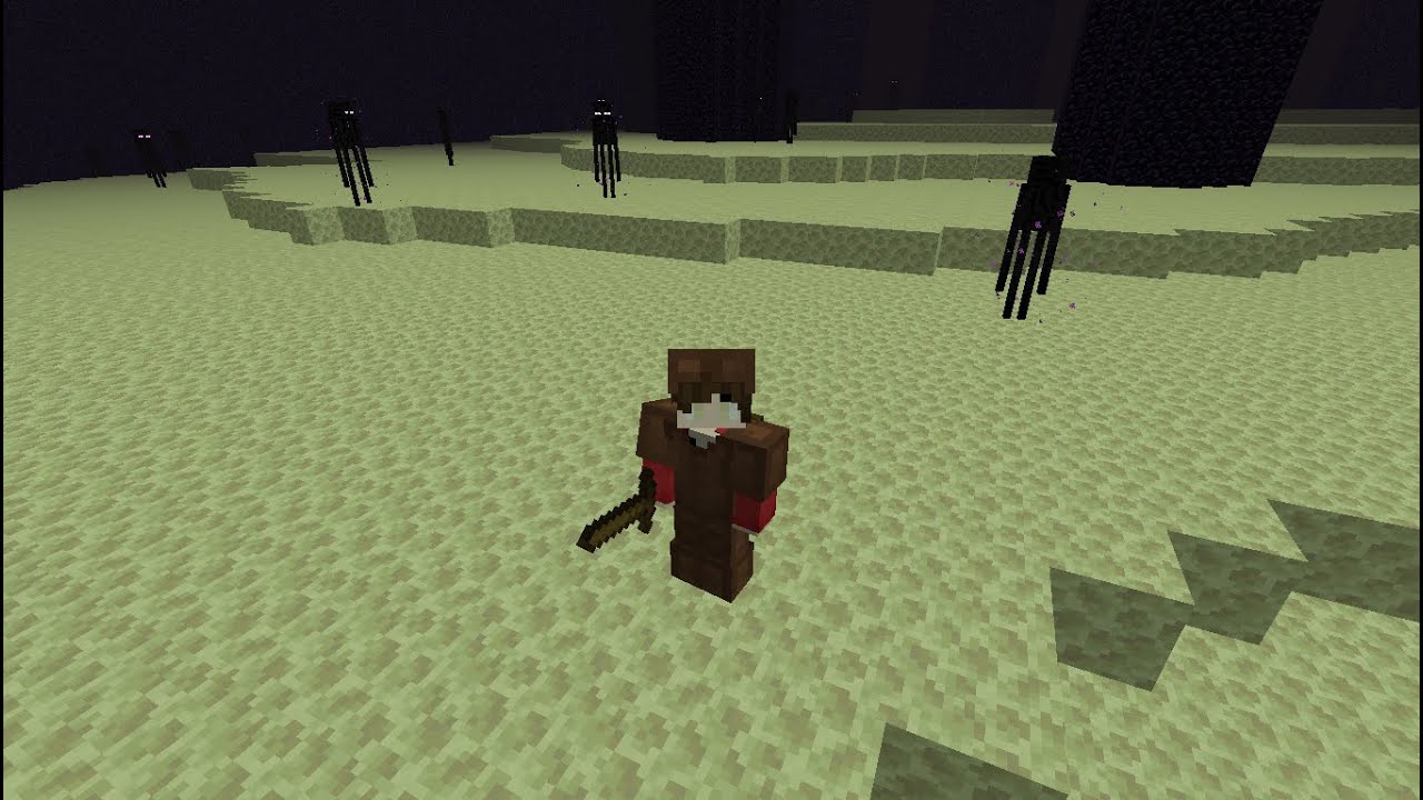 Minecraft But I Start In The End