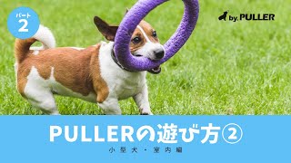 小型犬・狭い空間で楽しめるPULLER(プラー)　【犬のおもちゃ】 水遊び　競技