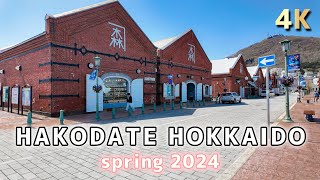 4K // 2024 Hakodate Hokkaido Japan Walking tour