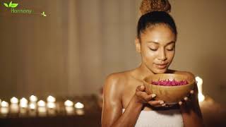 Harmony Tree Massage
