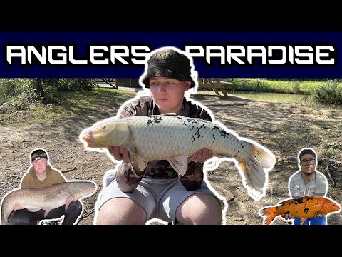 Anglers Paradise Fishing (Carp, Koi and Catfish!)