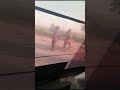 ٹھل، جیکب آباد: اسکول وین پر ڈاکوؤں کا حملہ – 10 خواتین اساتذہ کے اغوا کی کوشش ناکام!