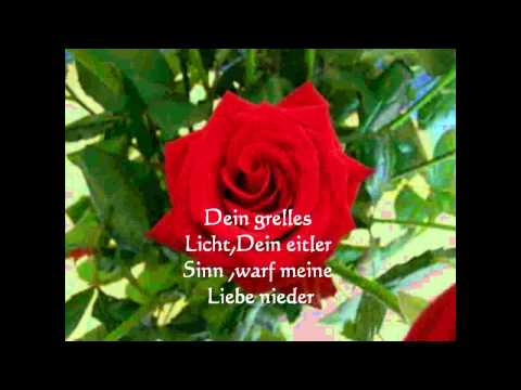 Letzte Instanz-Die Eine
