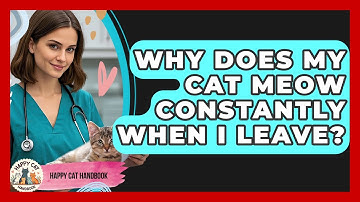 Why Does My Cat Meow Constantly When I Leave? - Happy Cat Handbook