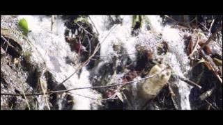 FUNK DEEPSTAR & SKAIVA FEAT. RAKEEM - Day Dreamer (Original Mix)