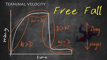 Terminal Velocity - GCSE Physics Revision