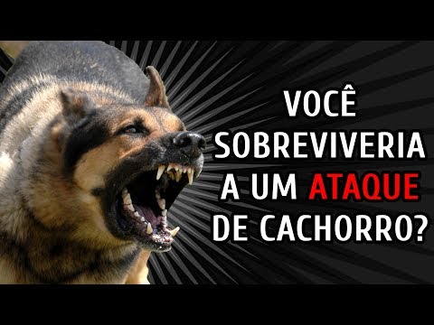 TESTE: COMO SOBREVIVER