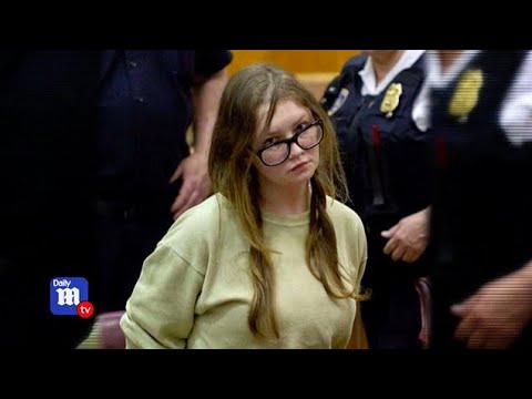 Anna Delvey: The trial of New York's fake heiress