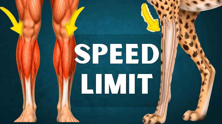 The Science of Human Speed  | Why We Run Fast… and Far